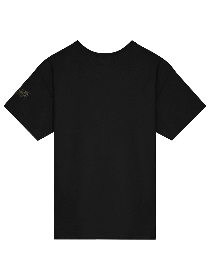 The Abe: The Ghost With the Most Tee product image (5)