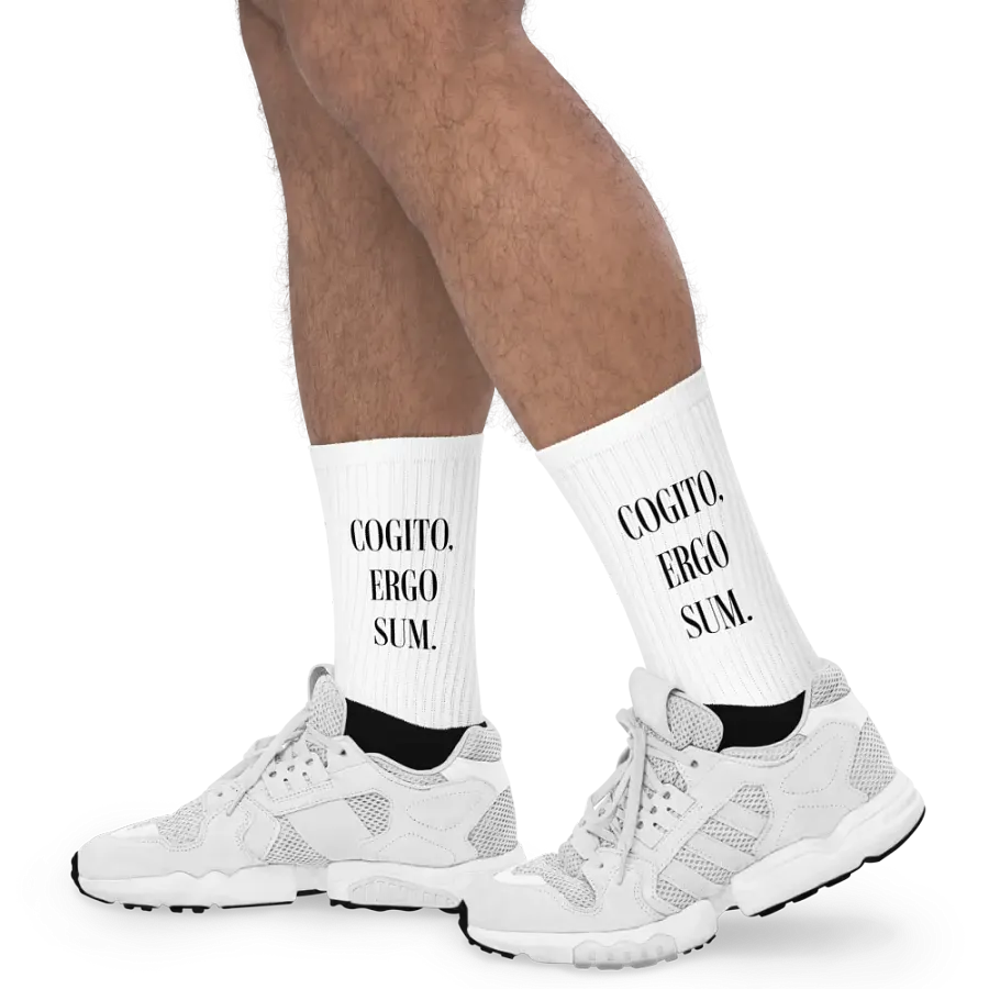 Cogito, Ergo Sum Socks product image (1)