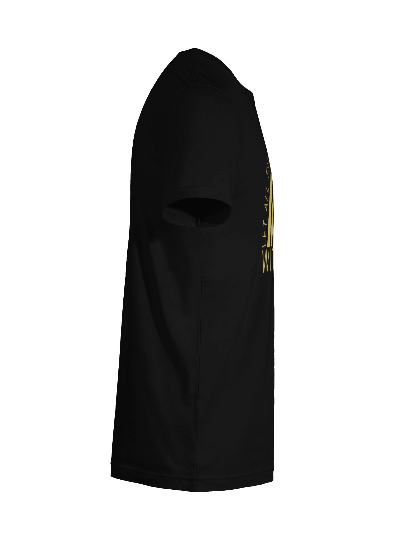 Love Rainbow Bella+Canvas T-Shirt product image (68)