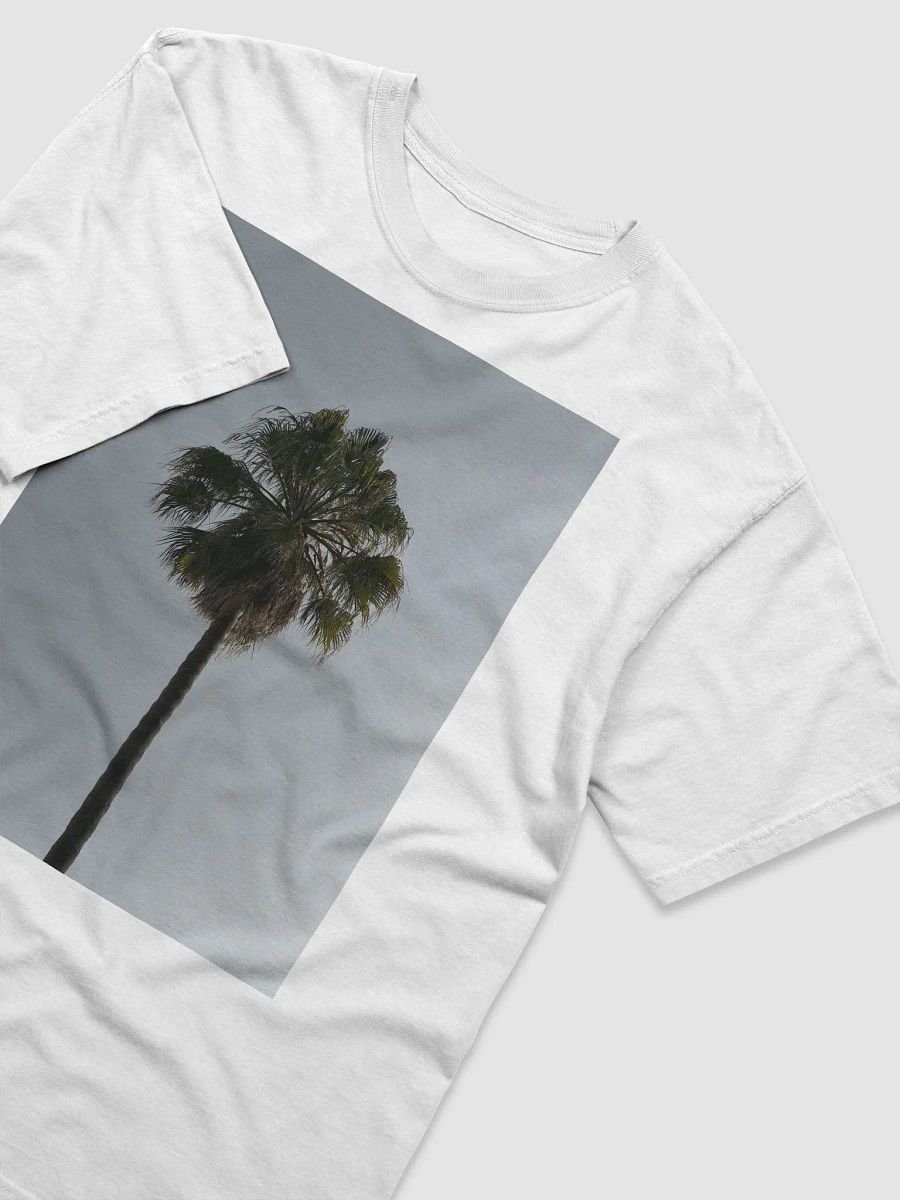 Palm Tree product image (5)