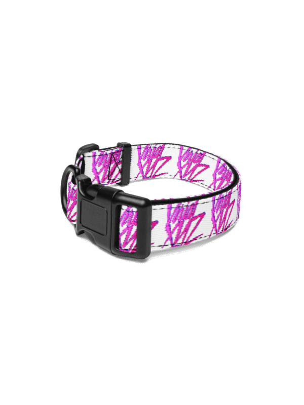 VirialXYZ Pet Collar & Leash Set product image (1)