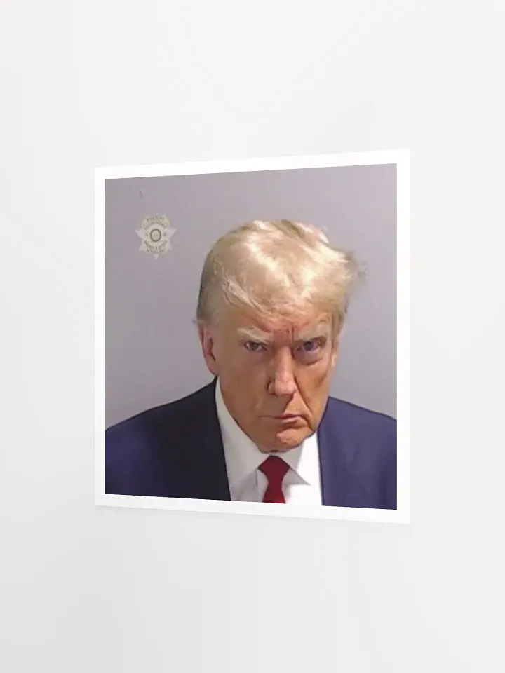 FAFO Poster product image (7)