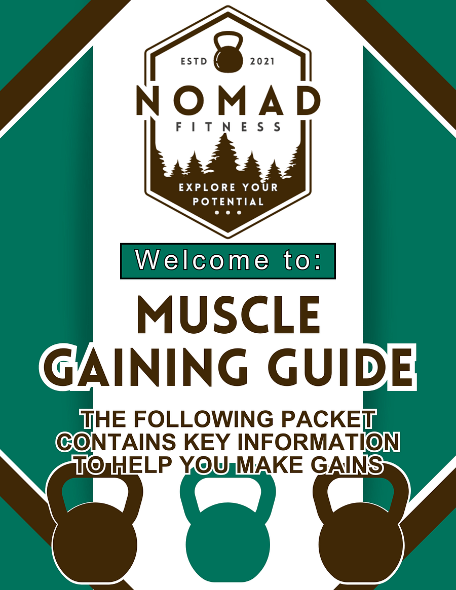 Muscle Gaining Guide product image (1)