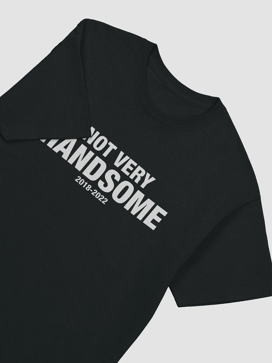 Not Very Handsome Shirt product image (22)