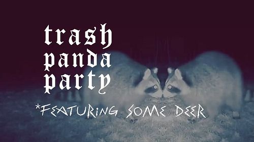 TRASH PANDA PARTY *featuring some deer

A music video made from my trail cam footage! This is a triple collab, video edit by ...