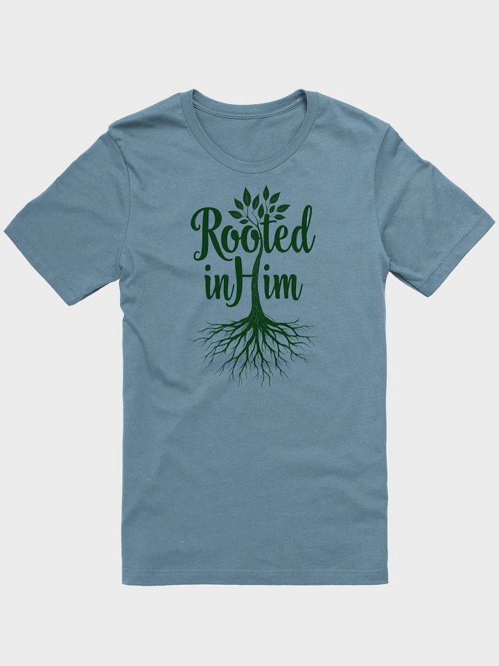 Rooted in Him Graphic Tee product image (1)