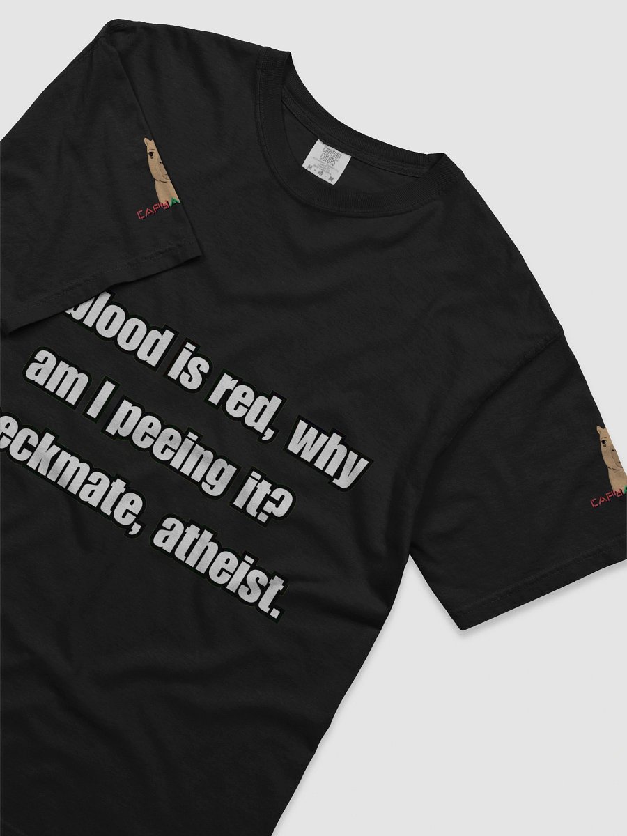 Checkmate Atheist product image (36)