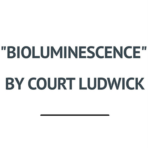 Today’s feature from Issue No. 2 is @courtludwick’s “Bioluminescence”. Check it out on our website!