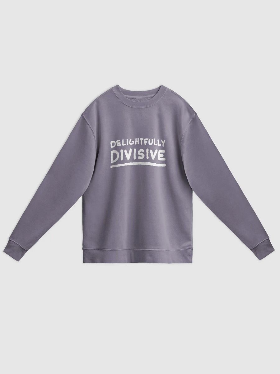 DELIGHTFULLY DIVISIVE (lg. white design) printed pigment crewneck product image (19)
