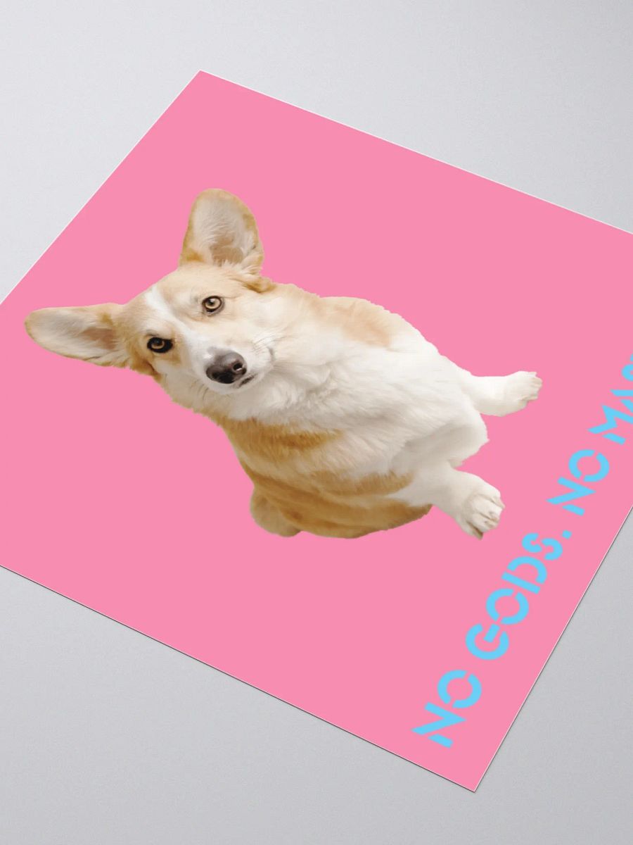 No Gods No Masters - Pink Sticker product image (9)