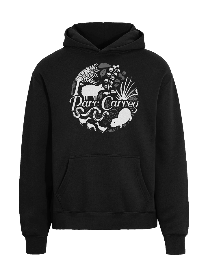 Parc Carreg Hoodie product image (1)