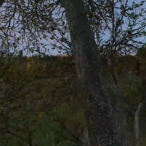 the stuff that goes down at a random chopper crash @dayz.game #dayz #dayzstandalone