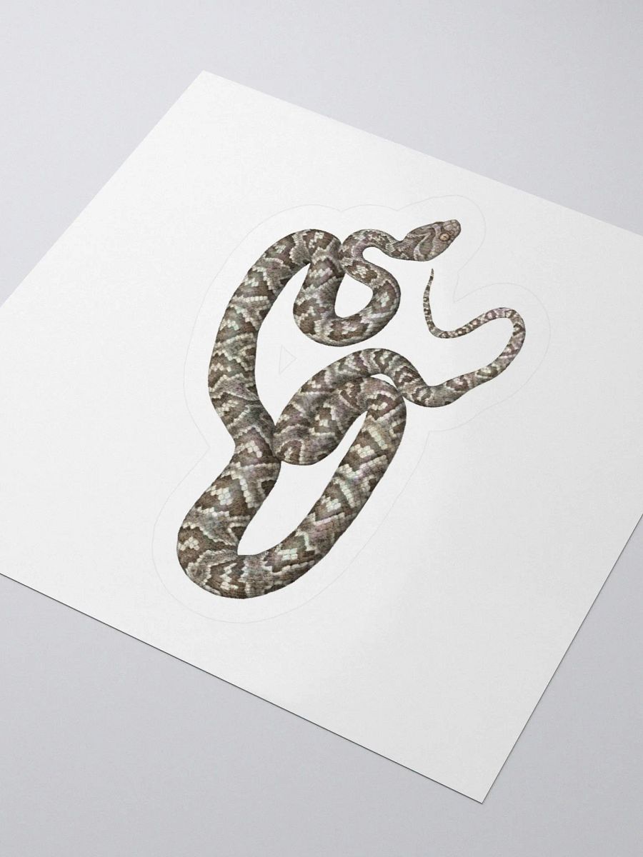 Die-Cut Sticker – Sonoran Lyresnake product image (3)