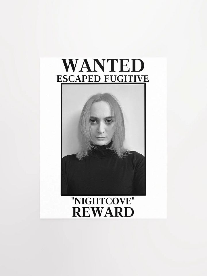 The Villain WANTED Poster product image (1)