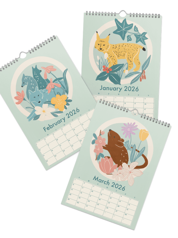 Swiss Wildlife 2026 Wall Calendar – Nature-Inspired Animal Art for Kids, Families & Nature Lovers product image (2)