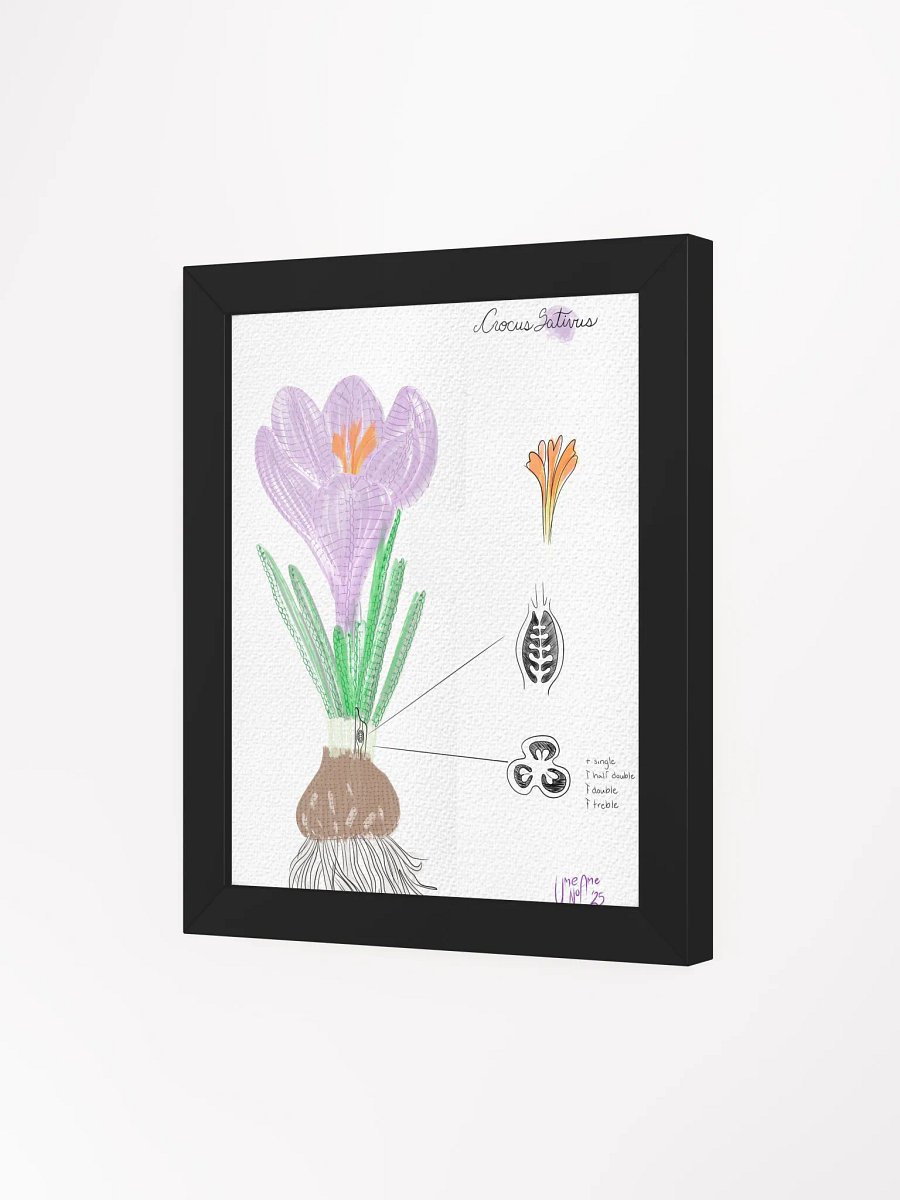 Crochet Vision: Crocus Framed Print product image (3)