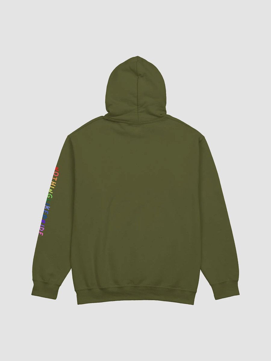 Unlabeled Pride Hoodie product image (14)