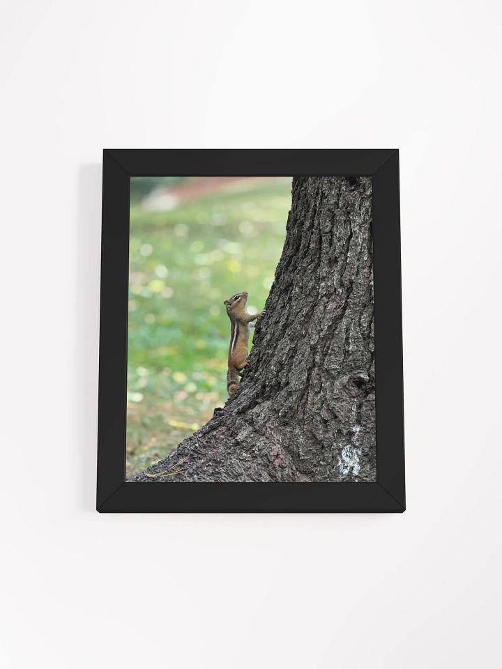 Squirrel print product image (4)