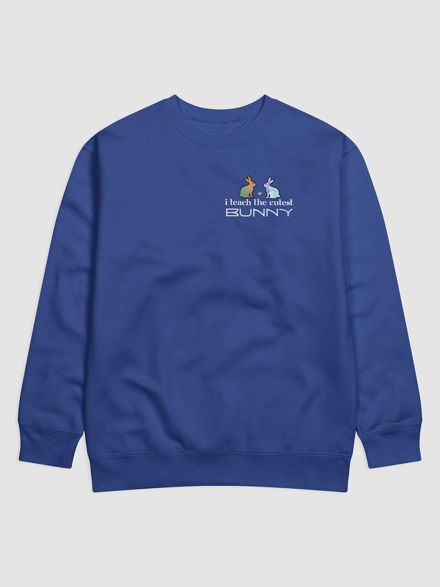 I Teach The Cutest Bunny, Teachers Heritage Sweatshirt - Pocket product image (3)