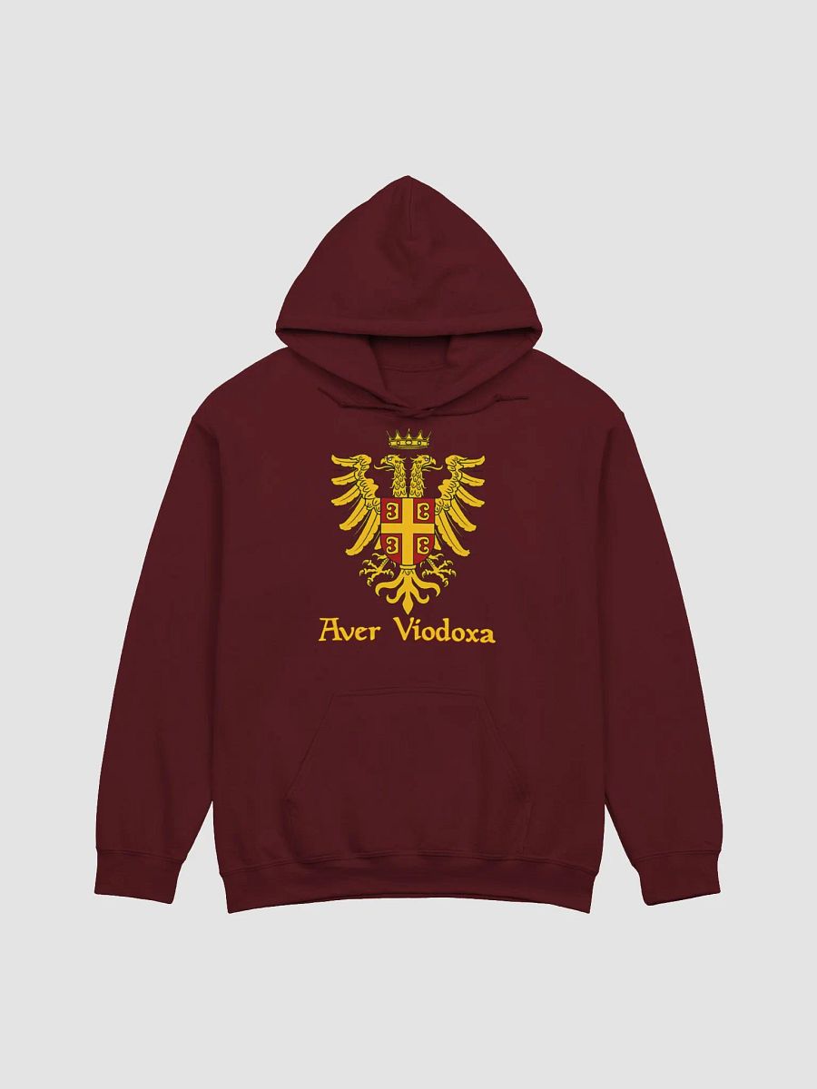 Aver Viodoxa Hoodie product image (2)