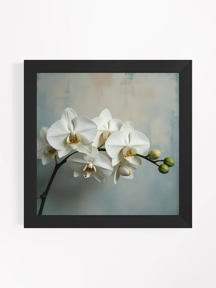 Orchids Framed Poster product image (5)