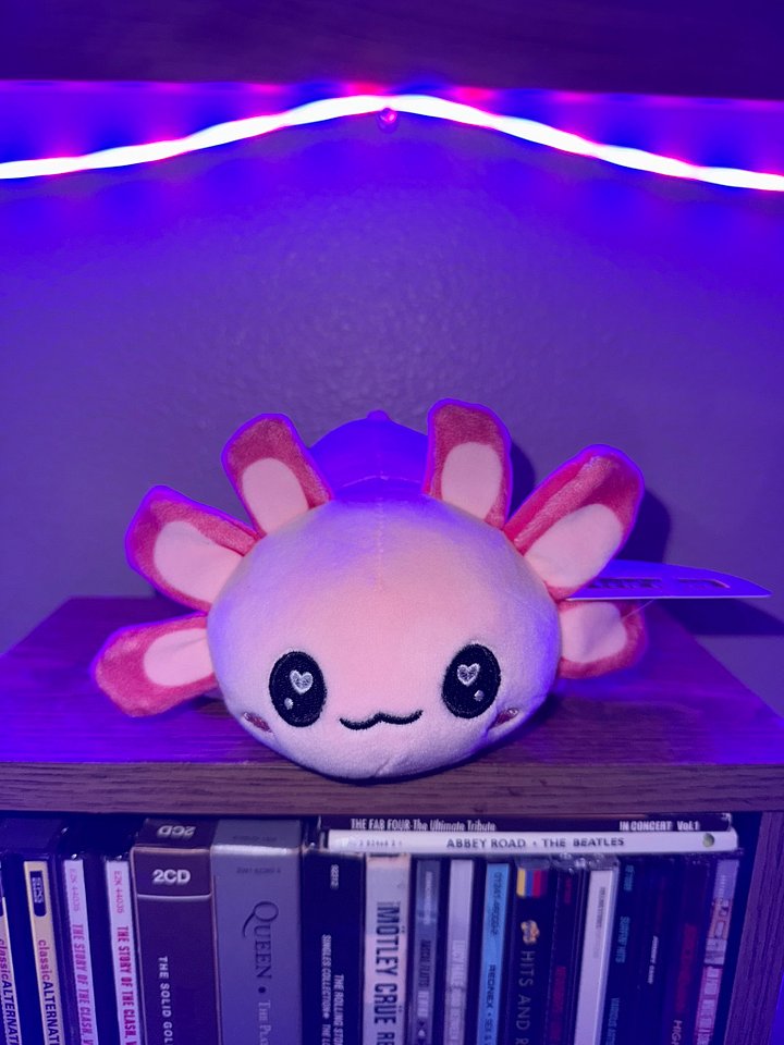 Pink Axolotl Plush product image (1)