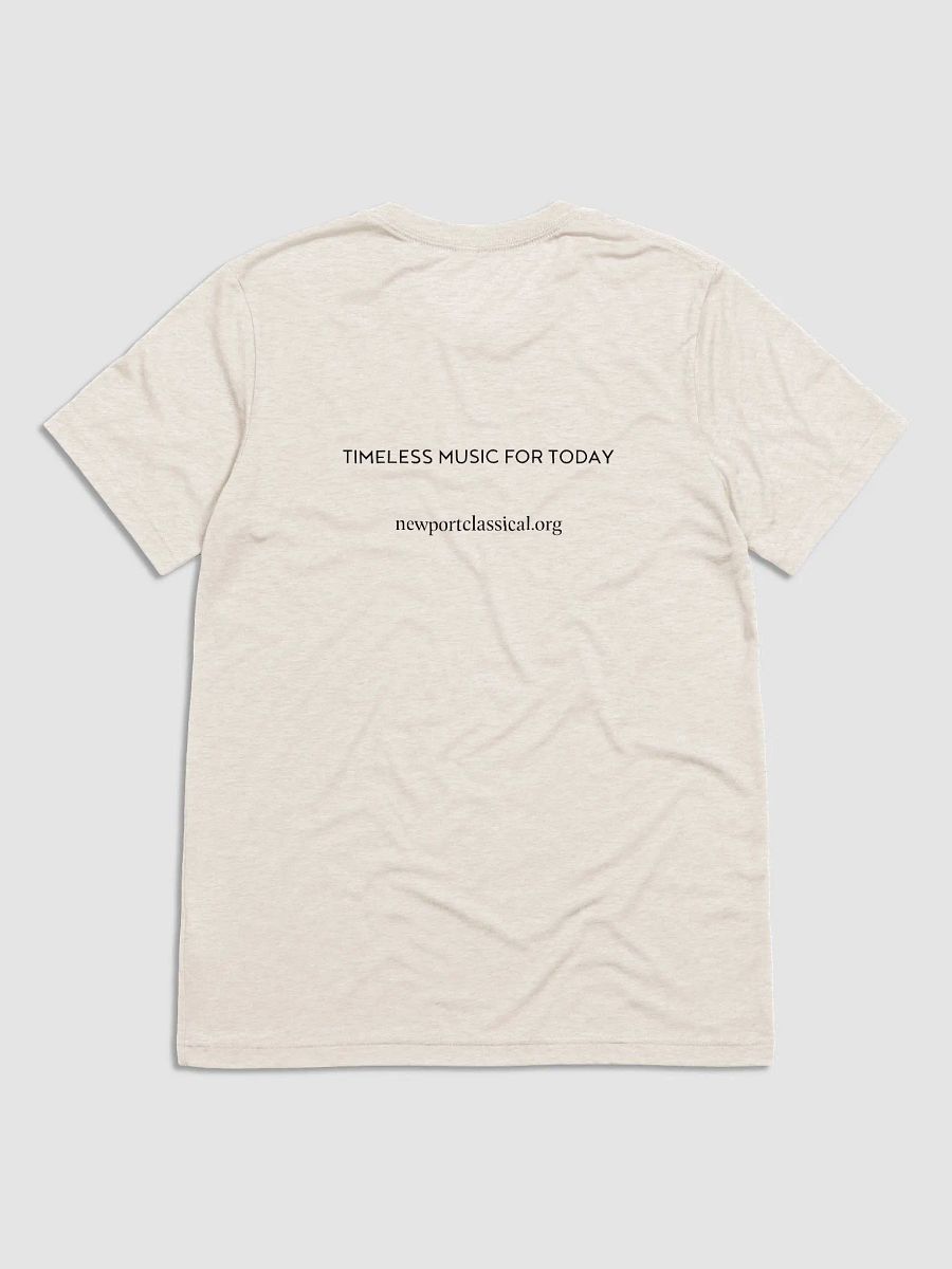 Festival T-Shirt product image (2)