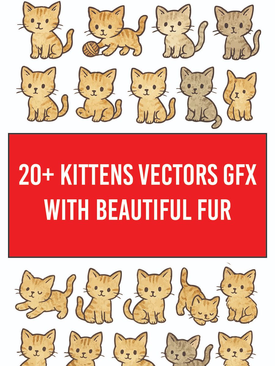 20+ Kittens Vectors Graphics product image (1)