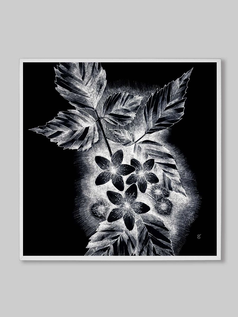 Blank Canvas Collection - JDark asmine product image (61)