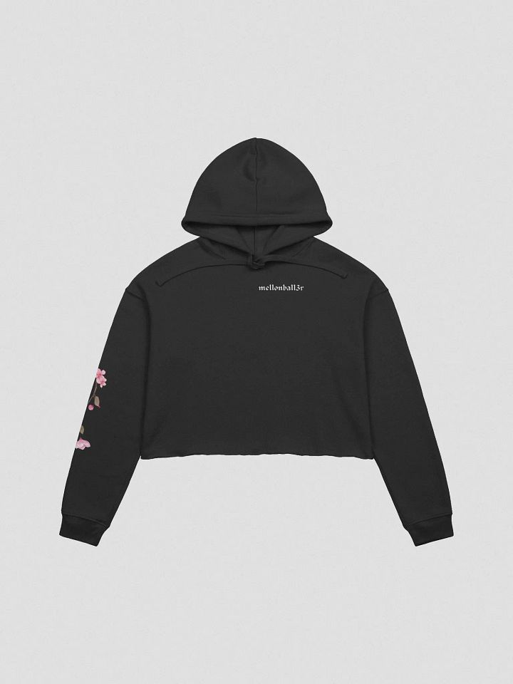 fkrs cropped hoodie product image (2)