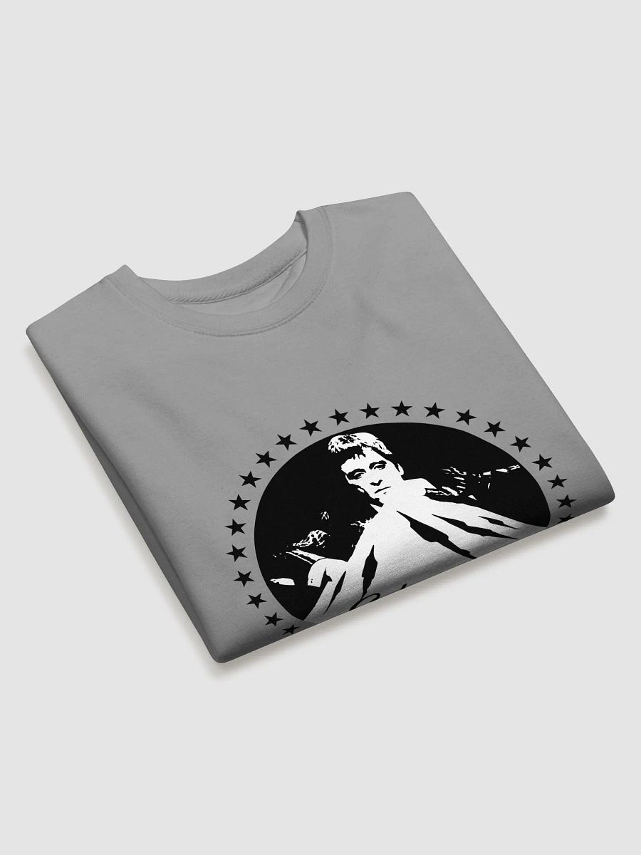 Cokemount Pictures Cotton Heritage Premium Sweatshirt product image (3)