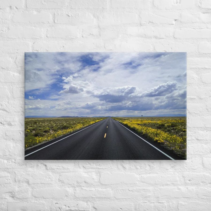 Journey to The Great Sand Dunes National Park product image (12)
