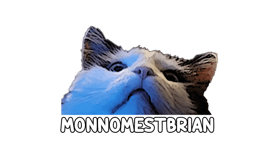 T-SHIRT - MONNOMESTBRIAN - UNISEX product image (3)