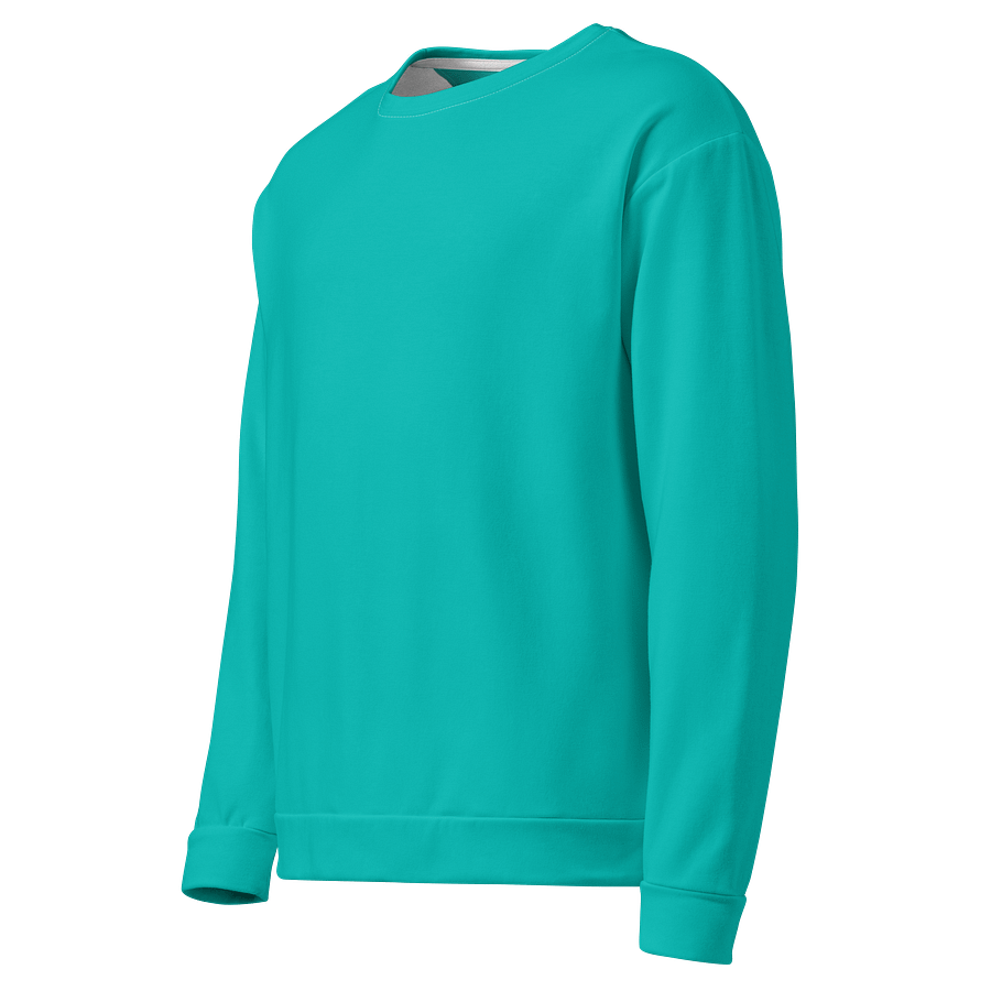 Aquamarine Blue Solid Color Eco Friendly Unisex Sweatshirt product image (3)