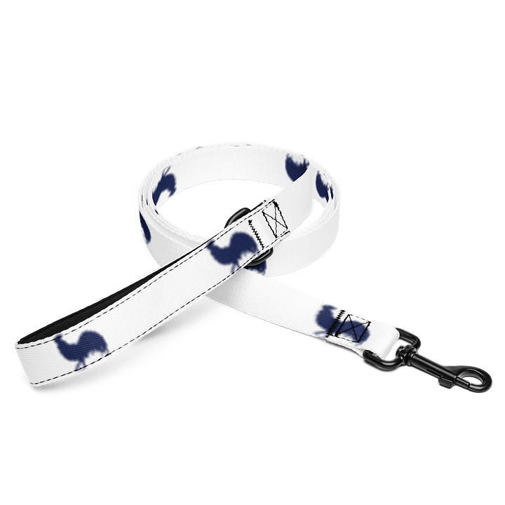 VBC Pet Leash product image (1)