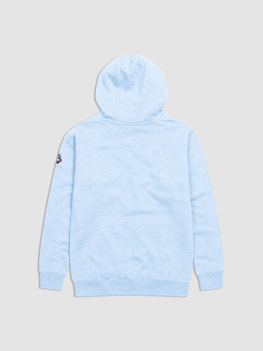 Bully Hoodie Light product image (2)