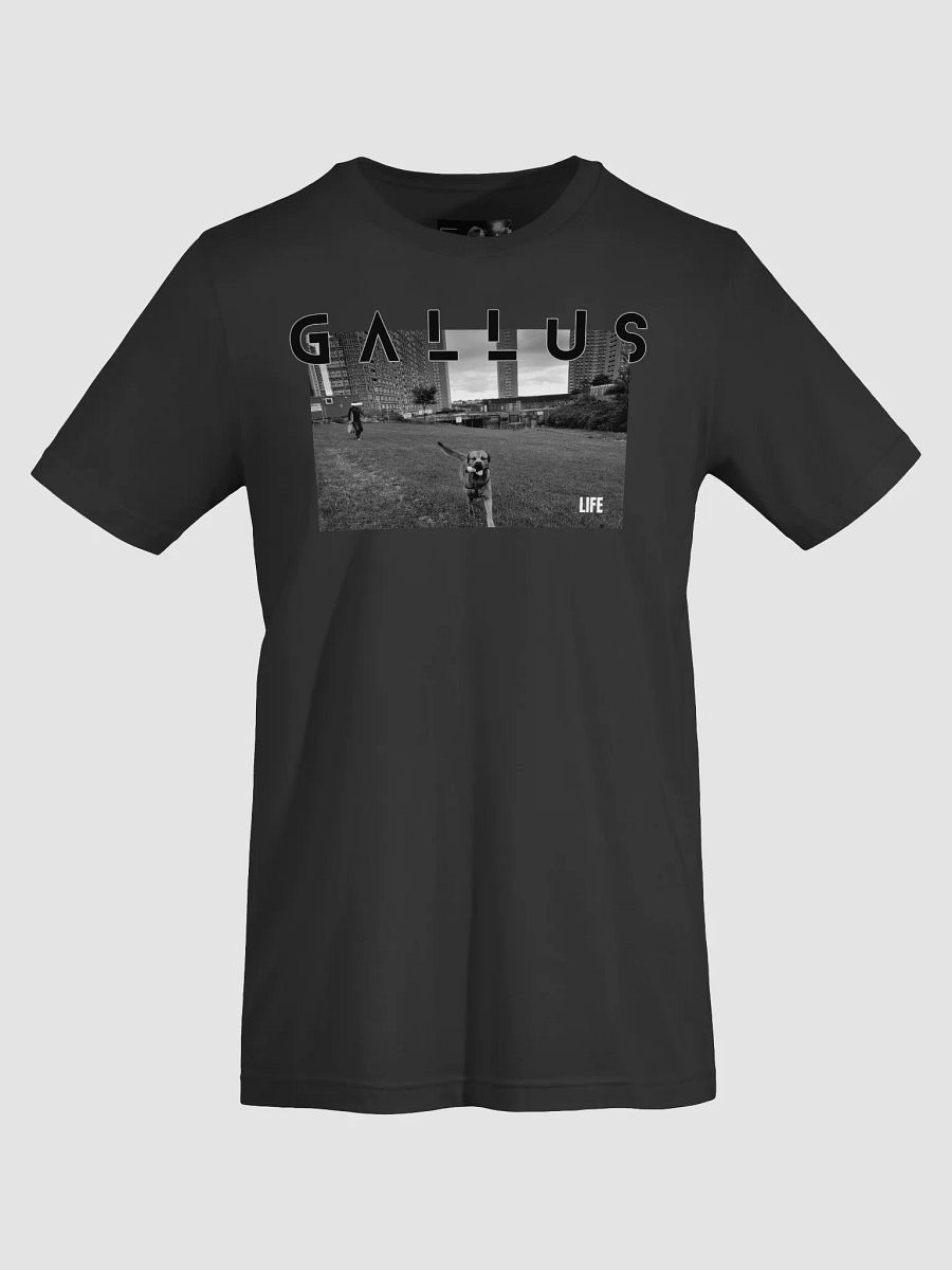 Gallus 2025 Life Collection product image (69)