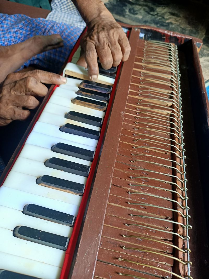 Paris reeds harmonium