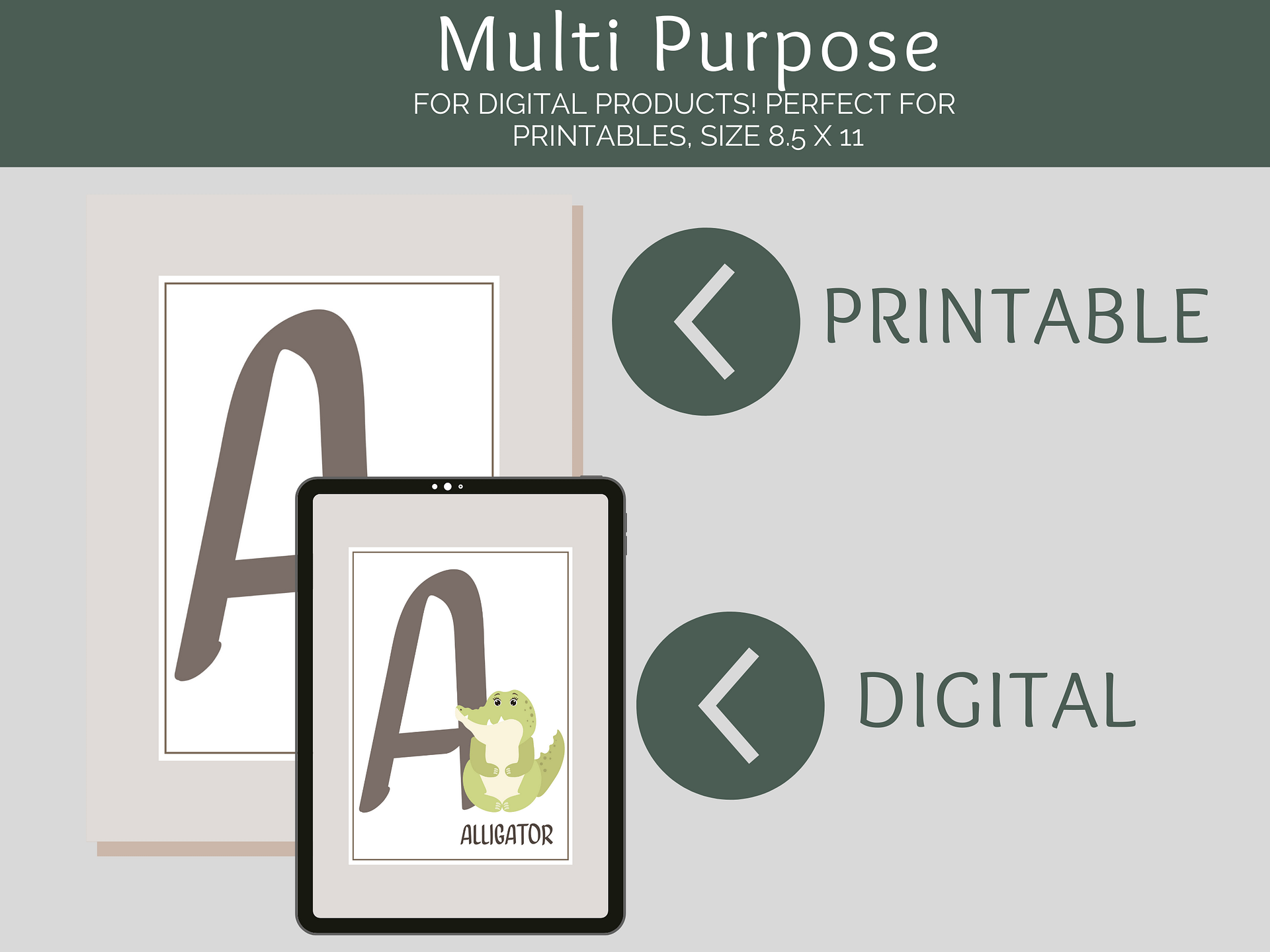 Digital Alphabet Flash Cards product image (3)