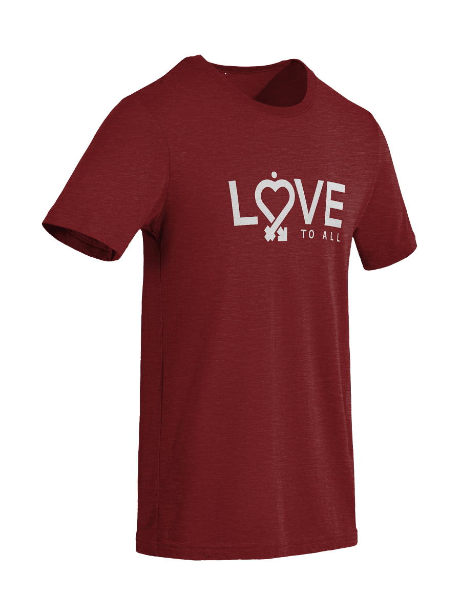 L2A Minimalist Triblend T-Shirt product image (3)