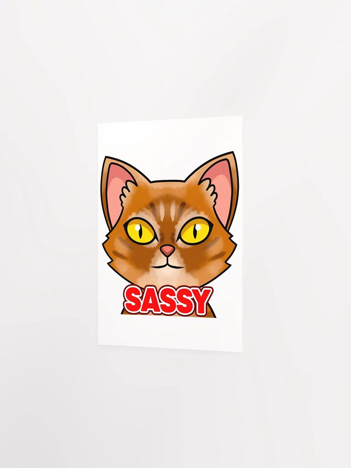 SASSY Poster product image (2)