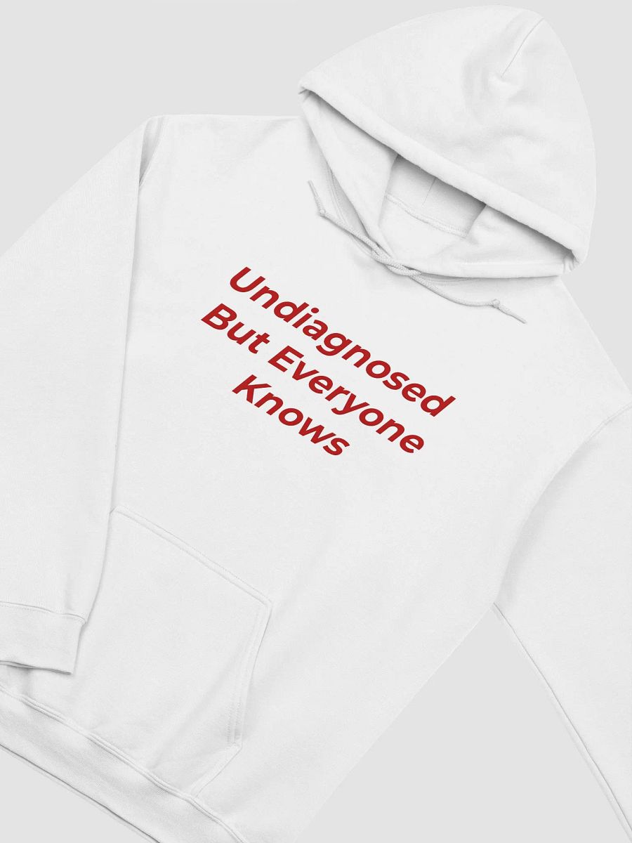Undiagnosed But Everyone Knows Hoodie product image (2)