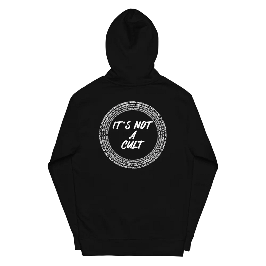Not-Cult Embroidered Hoodie (DARK) product image (4)