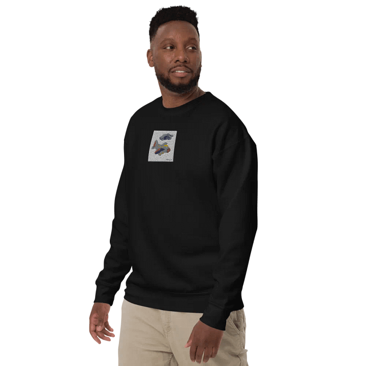 Kid Airplane (Cotton Heritage Premium Sweatshirt) product image (2)