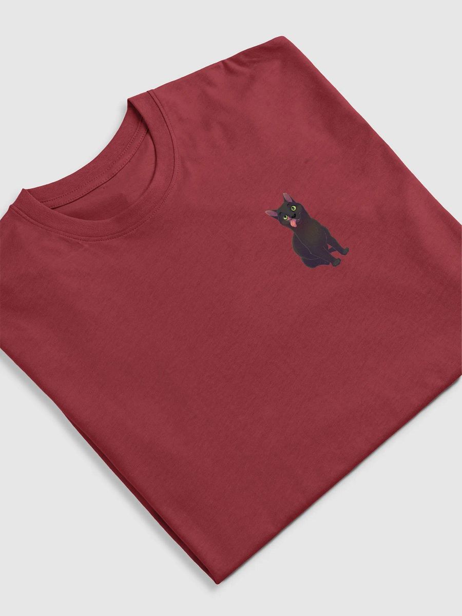 Raven T Shirt relaxed fit product image (24)