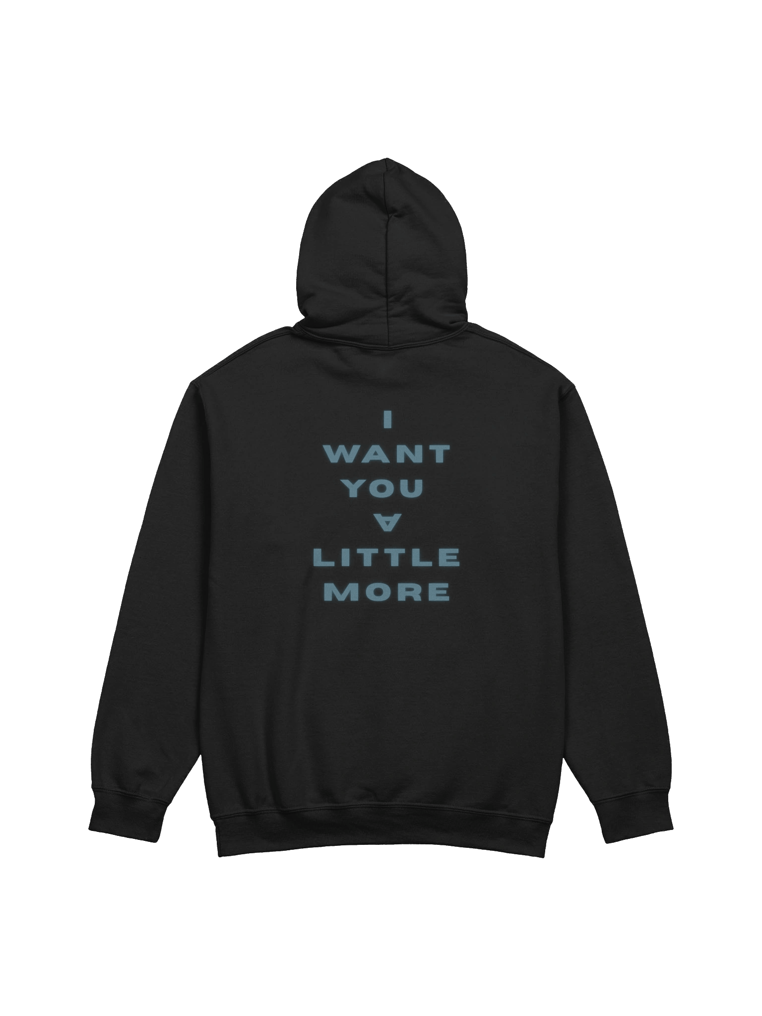 DAVID LEE HEAVY BLEND HOODIE product image (2)