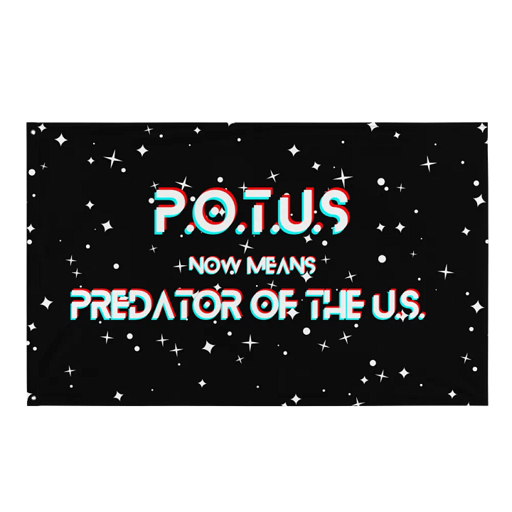 Resistors, What POTUS Now Means, Flag product image (1)