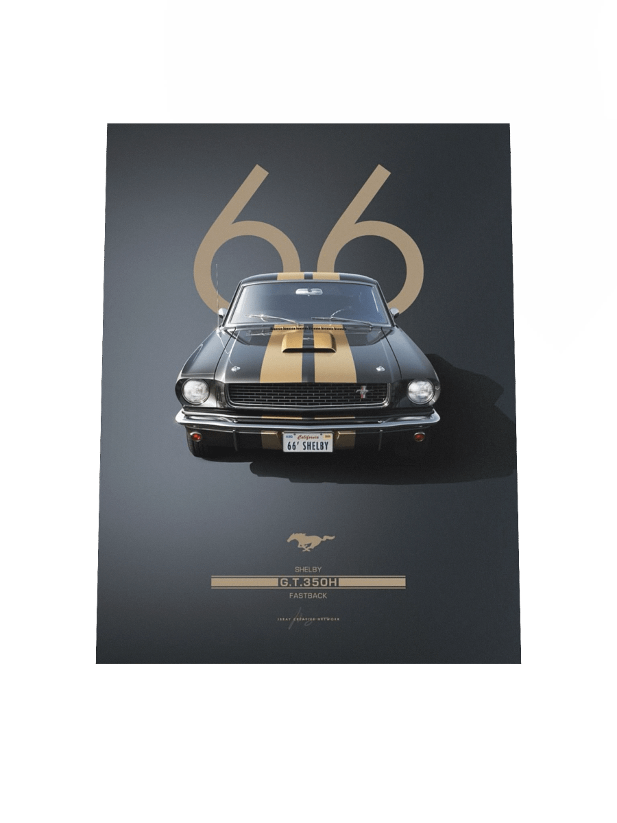 GT350 H product image (4)