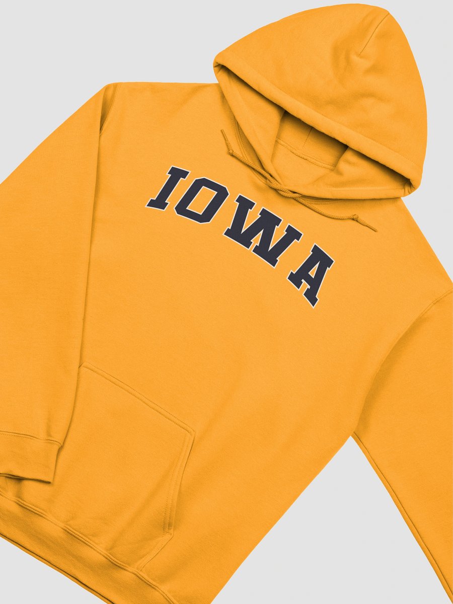 Iowa Vintage Stylish Classic Hoodie product image (2)