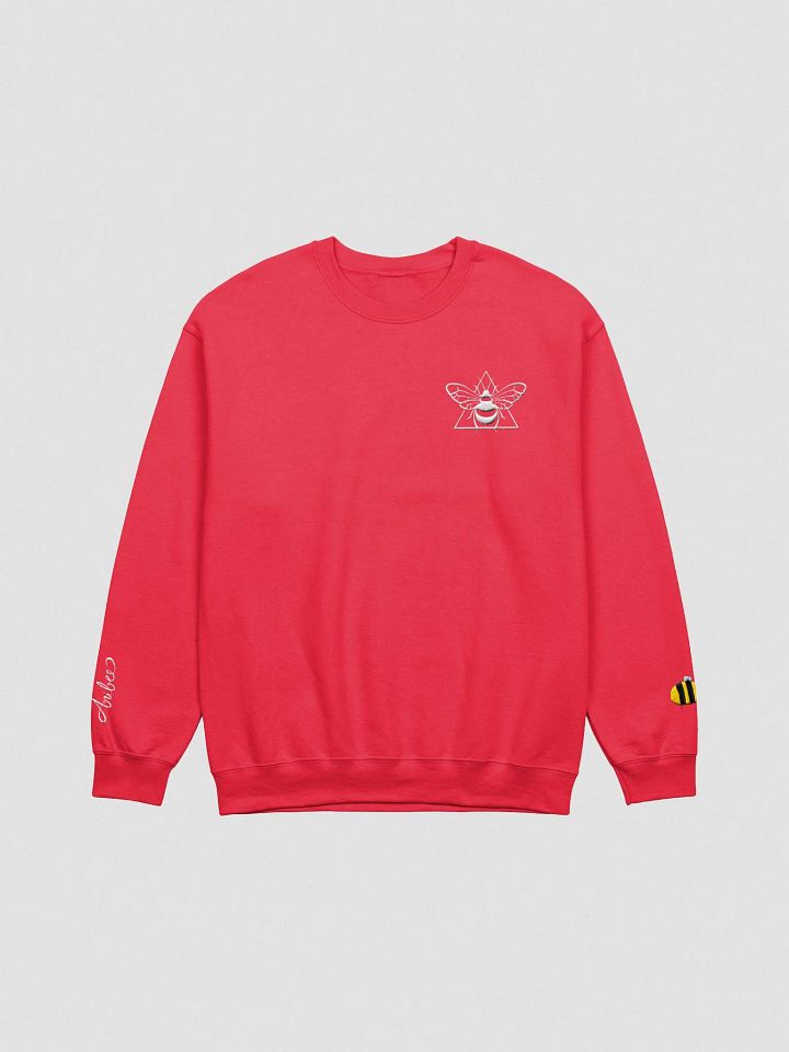 aribee embroidered sweatshirt product image (1)